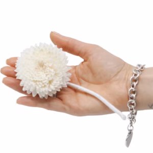 Natural Diffuser Flowers - Lrg Carnation on String