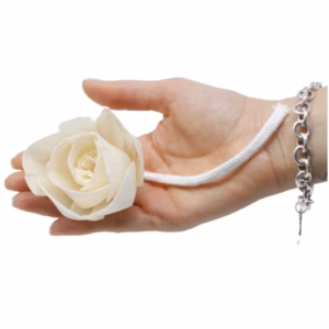 Naturlige Diffuser Blomster - Rose på Snor - Stor