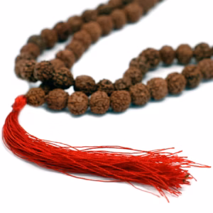 108 Rudraksha Mala - Brun