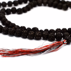 108 Rudraksha Mala - Donker