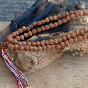 108 Rudraksha Mala - Naturel