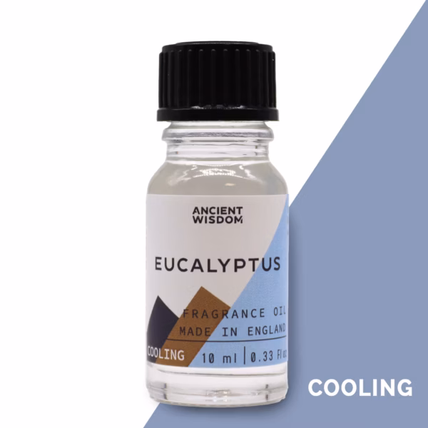 Huis Parfum/geurolie - 10ml - Eucalyptus