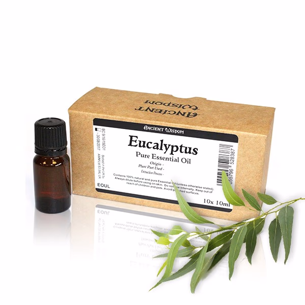 Etherische Olie Merkloos - Eucalyptus - 10ml
