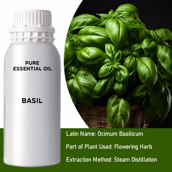 Basilic Huile Essentielle Pure 500ml