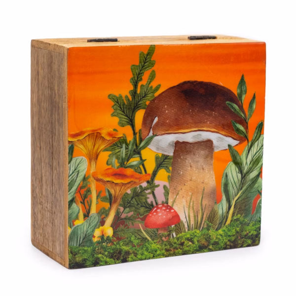 Square Box - Mushroom Design Maroon - Large