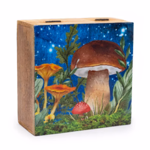 Firkantet Eske / Boks - Mushroom Design Teal - Stor