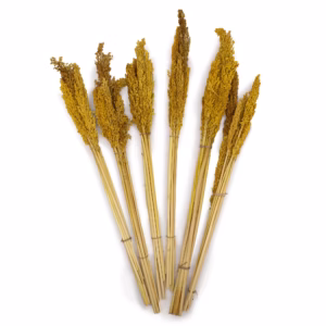 Bouquet d'Herbes Séchées - Cantal - Ambre