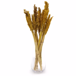 Bouquet d'Herbes Séchées - Cantal - Ambre