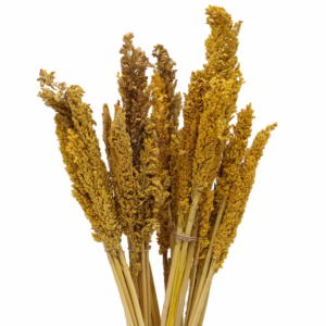 Bouquet d'Herbes Séchées - Cantal - Ambre