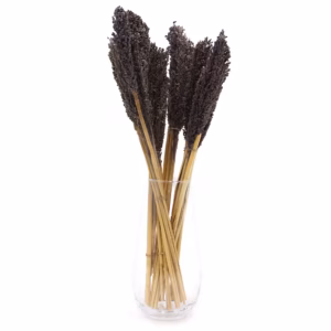 Bouquet d'Herbes Séchées - Cantal - Noir