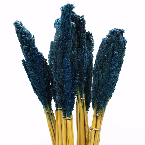Cantal Grass Bunch - Blue
