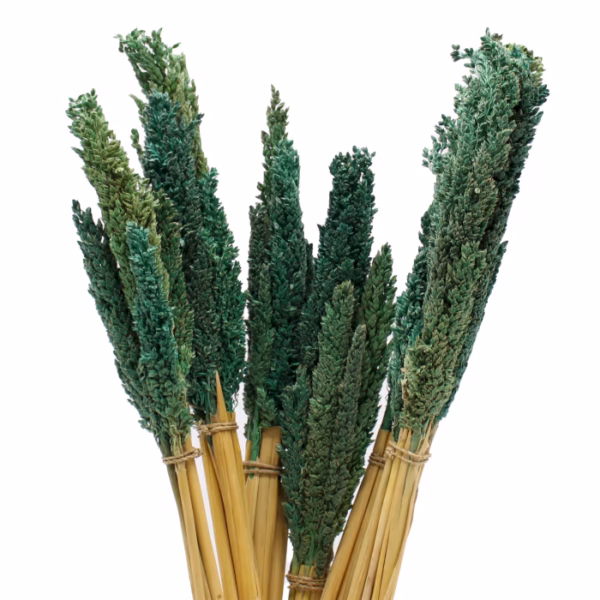 Bouquet d'Herbes Séchées du Cantal - Sarcelle