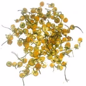Chamomile Heads - 1kg