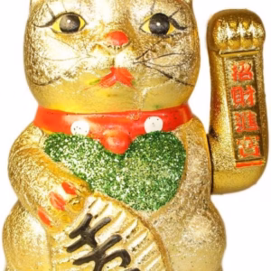 Chat Chinois Chat Chinois Classique
