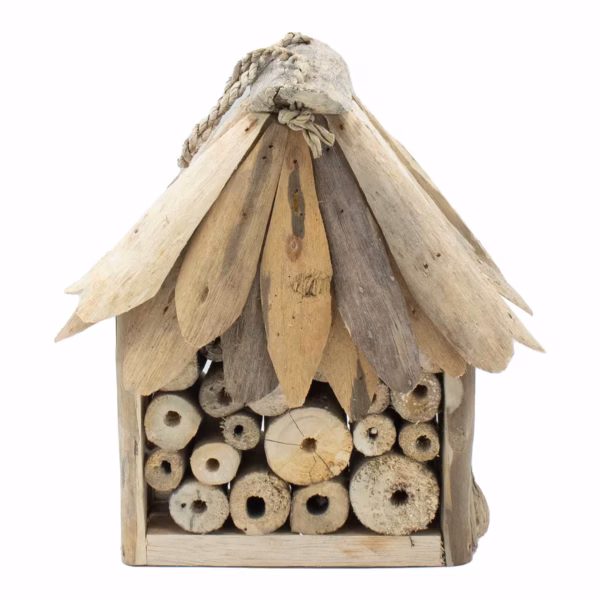 Boîte à Abeilles et à Insectes en Bois Flotté
