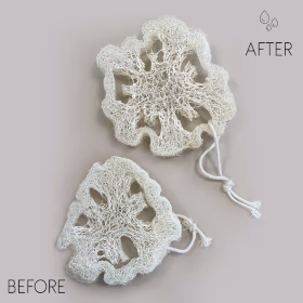 Loofah de Luxe Égyptien avec Ficelle en Coton - Non Compressé - 2cm