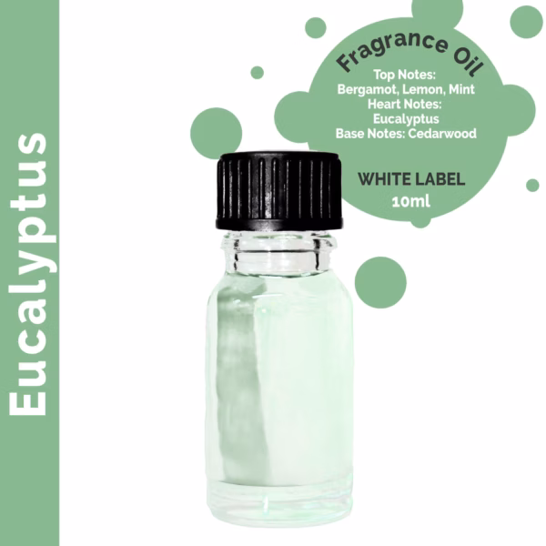Eukalyptus - Duftöl - Ohne Etikett - 10ml