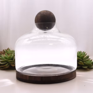 Très Grand Terarium Bouchon Boule sur Bois de Tung Foncé