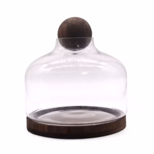 Très Grand Terarium Bouchon Boule sur Bois de Tung Foncé
