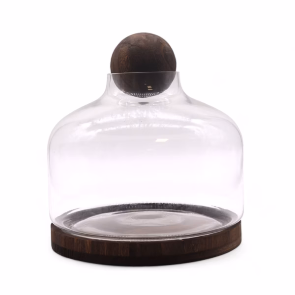 Très Grand Terarium Bouchon Boule sur Bois de Tung Foncé