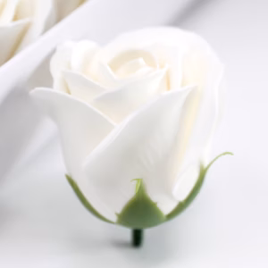 Tvålblommor till Hantverk - Mellanstor Ros - Vit