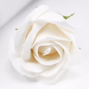 Tvålblommor till Hantverk - Mellanstor Ros - Vit