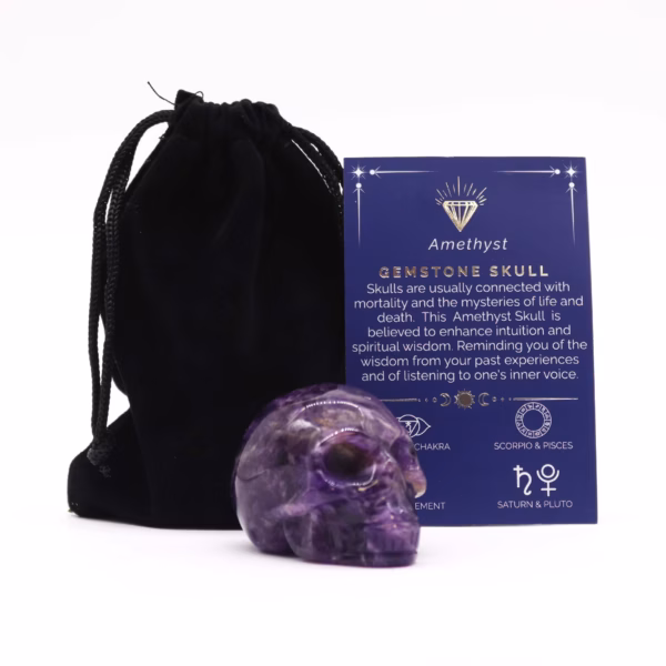 Gemstone Skull - Amethyst - Large - 50x40x30mm