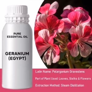 Geranium (Egypten) Ren Eterisk Olja 500ml