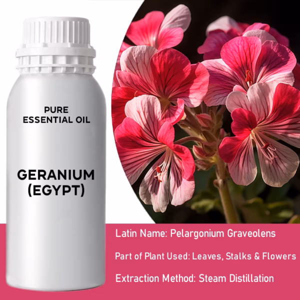 Geranio (Egipto) Puro Aceite Esencial 500ml