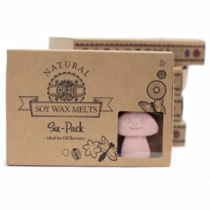 Boîte de 6 Fondants en Cire Soja - Marchand de Café