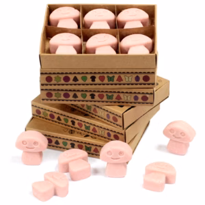 Boîte de 6 Fondants en Cire Soja - Marchand de Café