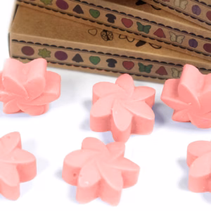 Boîte de 6 Fondants en Cire Soja - Magnolia Japonais