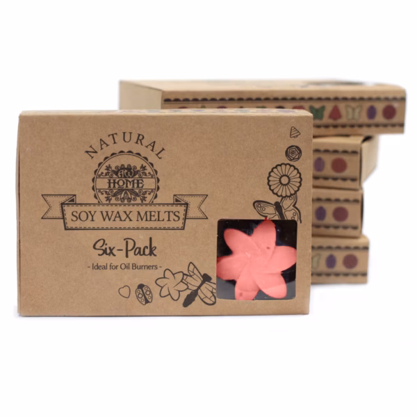 Gift Set of 6 Wax Melts - Japanese Magnolia