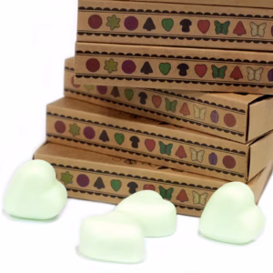 Sojawas Melts Doos 6stk - Munt en Menthol