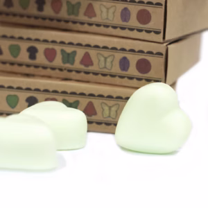 Sojawas Melts Doos 6stk - Munt en Menthol