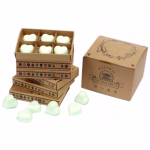 Sojawas Melts Doos 6stk - Munt en Menthol