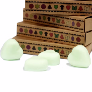 Duftwachs 6er Packung - Frische Wassermelone