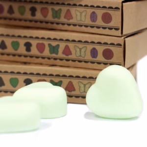 Duftwachs 6er Packung - Frische Wassermelone