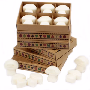 Duftwachs 6er Packung - Weißer Moschus