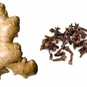 Gember & Kruidnagel - Bruin - Eo Zeep - 100g