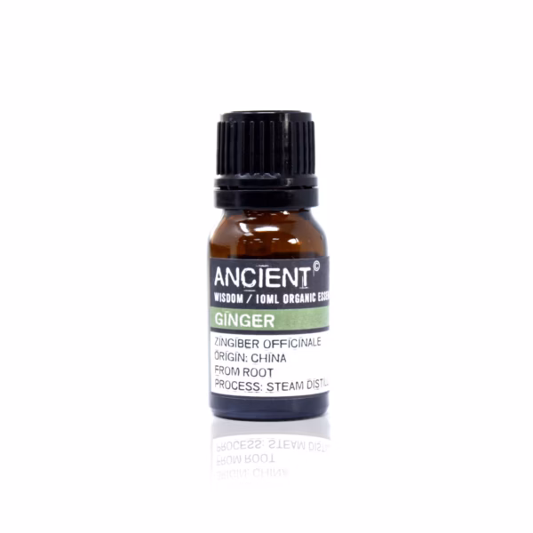 Biologische Etherische Olie - 10ml - Gember