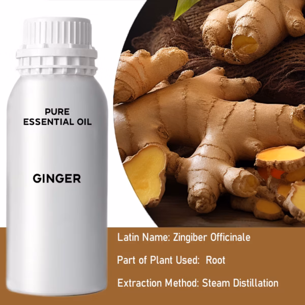 Ingwer Reines Ätherisches Öl 500ml
