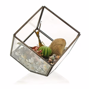 Glazen Terrarium - Vierkant