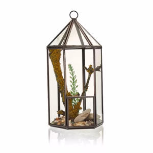Terrarium i Glas - Lykt-formad