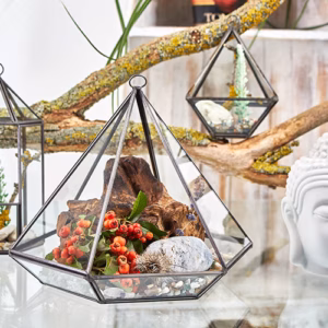 Terrarium i Glas - Stor Diamant