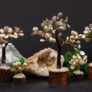 Gomati Chakra Circle Stone Trees - Set of 4