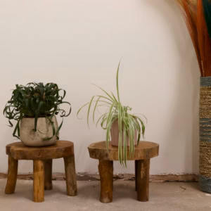 Hoger Teakhouten Display - 27x20cm