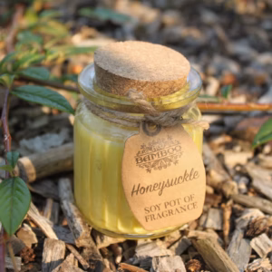 Bougies en Pot à la Cire de Soja - Chèvrefeuille