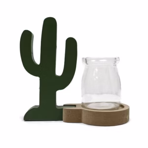 Décoration Culture Hydroponique - Présentoir Cactus Vert