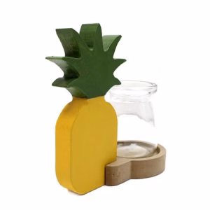 Hydroponic Home Décor - Peanaple Pot